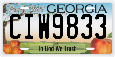 GA license plate CIW9833