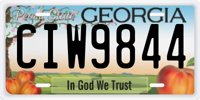 GA license plate CIW9844