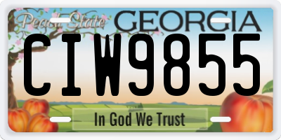 GA license plate CIW9855