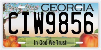 GA license plate CIW9856