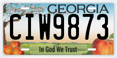 GA license plate CIW9873