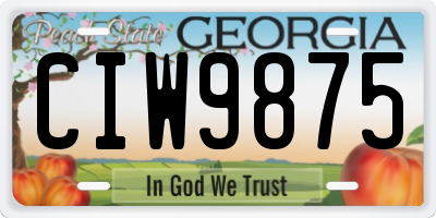 GA license plate CIW9875