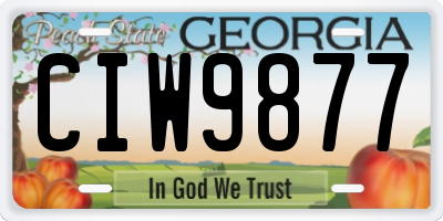 GA license plate CIW9877