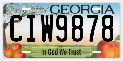 GA license plate CIW9878