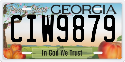 GA license plate CIW9879