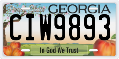 GA license plate CIW9893