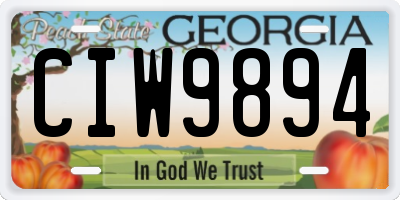 GA license plate CIW9894