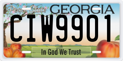 GA license plate CIW9901