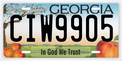 GA license plate CIW9905