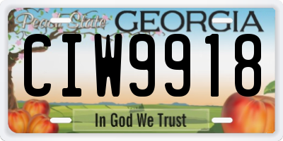 GA license plate CIW9918