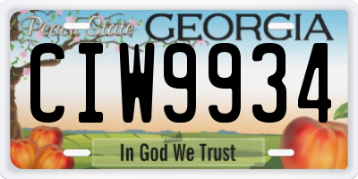 GA license plate CIW9934