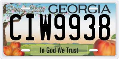 GA license plate CIW9938
