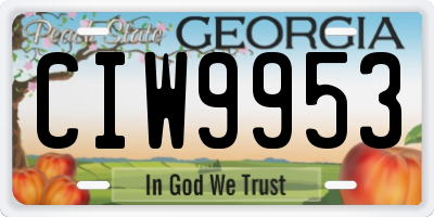 GA license plate CIW9953