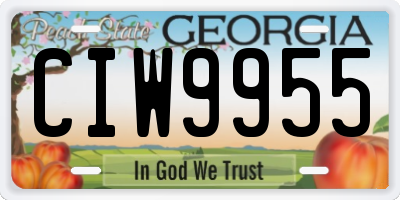 GA license plate CIW9955