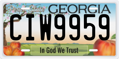 GA license plate CIW9959