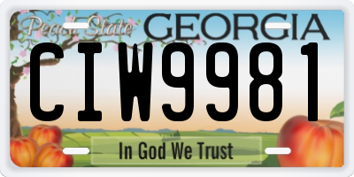 GA license plate CIW9981