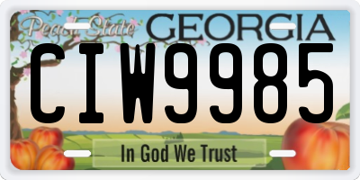 GA license plate CIW9985