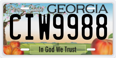 GA license plate CIW9988