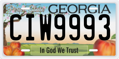 GA license plate CIW9993