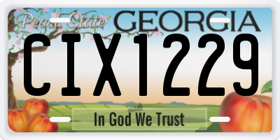 GA license plate CIX1229