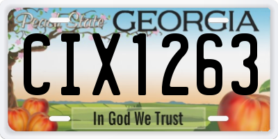 GA license plate CIX1263