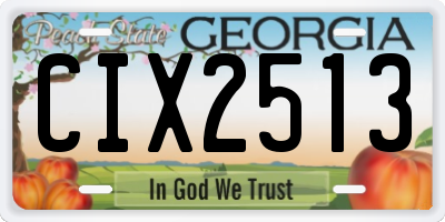 GA license plate CIX2513