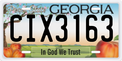GA license plate CIX3163