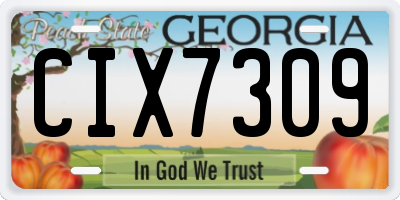 GA license plate CIX7309
