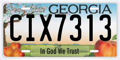 GA license plate CIX7313
