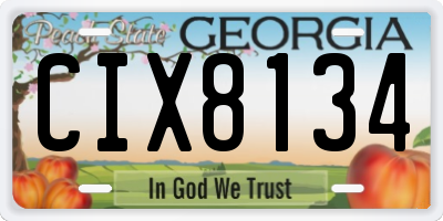 GA license plate CIX8134