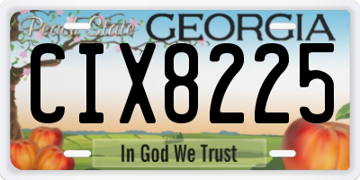GA license plate CIX8225