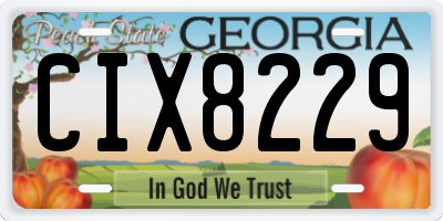 GA license plate CIX8229