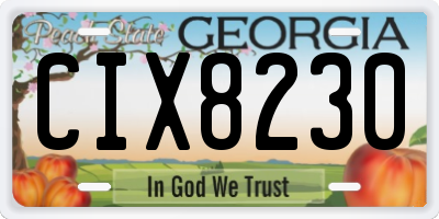 GA license plate CIX8230