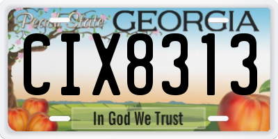 GA license plate CIX8313
