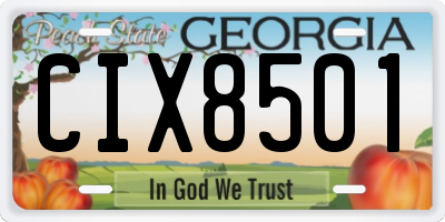 GA license plate CIX8501