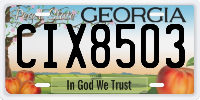 GA license plate CIX8503