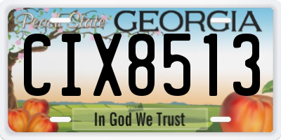 GA license plate CIX8513