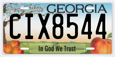GA license plate CIX8544