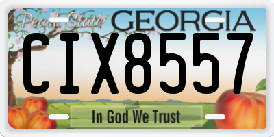 GA license plate CIX8557