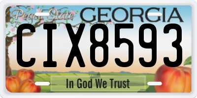 GA license plate CIX8593