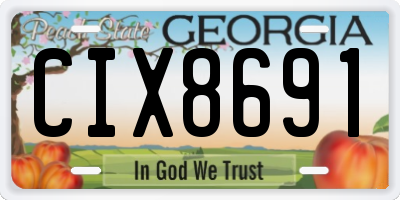 GA license plate CIX8691