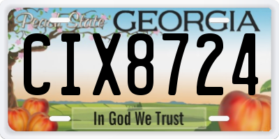 GA license plate CIX8724
