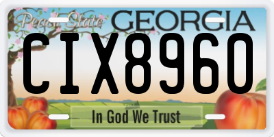 GA license plate CIX8960