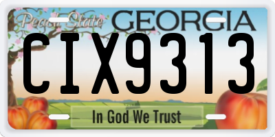 GA license plate CIX9313