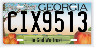 GA license plate CIX9513