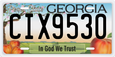 GA license plate CIX9530