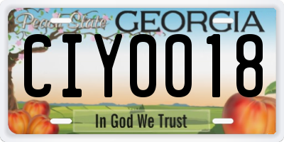 GA license plate CIY0018