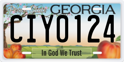 GA license plate CIY0124