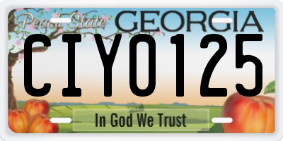 GA license plate CIY0125