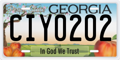 GA license plate CIY0202